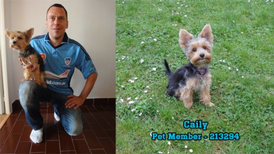 Pet Members Take Sydney FC International