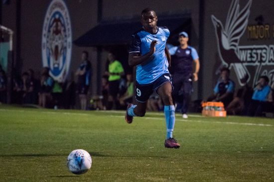 Young Sky Blues Downed By Hakoah